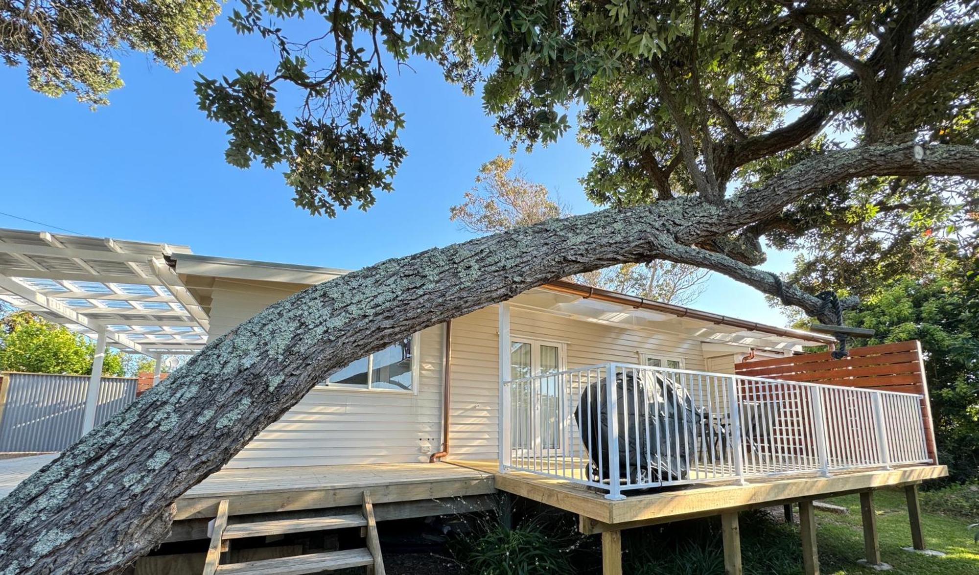 Miami One One Villa Oneroa Eksteriør billede